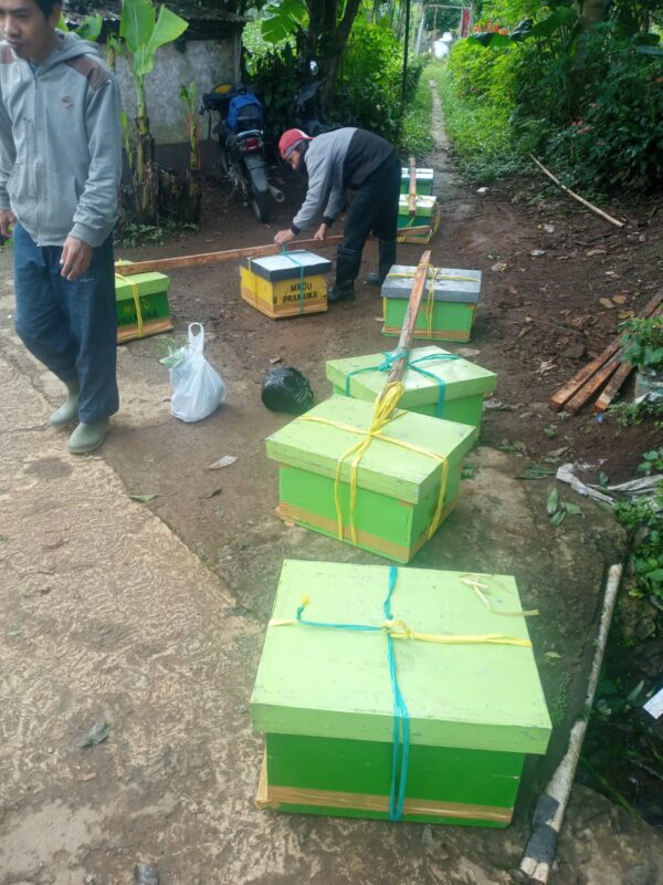 Progres Lebah GAZA