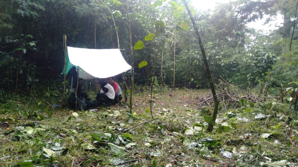 Berternak Lebah Di Petak 2 Ciater