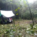 Berternak Lebah Di Petak 2 Ciater