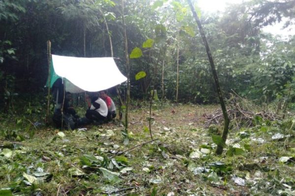 Berternak Lebah Di Petak 2 Ciater
