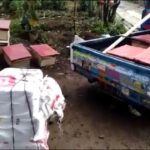 Usaha Bersama Lebah Madu