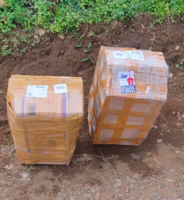 Kedatangan lagi lebah klanceng