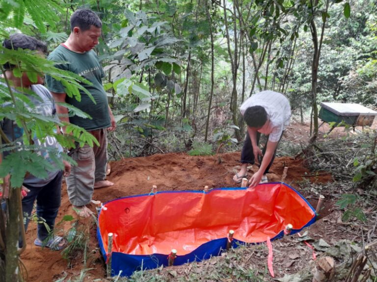 pembuatan kolam ikan